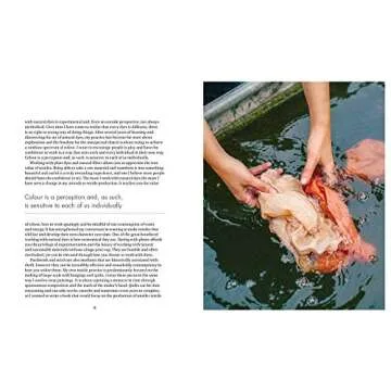 The Wild Dyer: A Maker's Guide to Natural Dyes with Projects to Create and Stitch