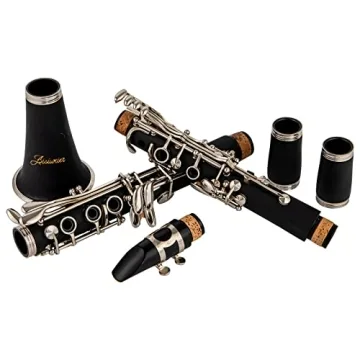 Aisiweier B-Flat Clarinet for Students and Beginners