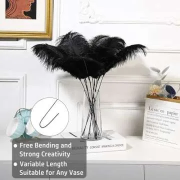Holmgren Black Ostrich Feathers Bulk - 20pcs Making Kit for Stunning Decor