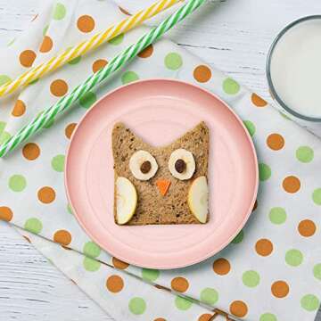 SHECIPIN Eco-Friendly Unbreakable Wheat Straw Plates 6 Pack