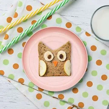 SHECIPIN Eco-Friendly Unbreakable Wheat Straw Plates 6 Pack