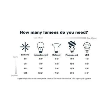 Designers Fountain 9 in 2-Light Flush Mount Ceiling Light with Frosted Glass Shade, White, 4732-WH