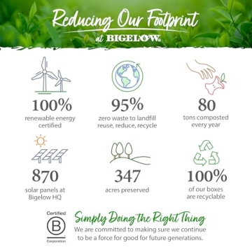 Bigelow Earl Grey Black Tea - 100 Count Individual Bags