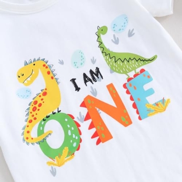 Dinosaur Birthday Outfit for 1 Year Old Boys