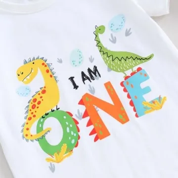 Dinosaur Birthday Outfit for 1 Year Old Boys