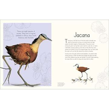 An Anthology of Aquatic Life (DK Children's Anthologies)