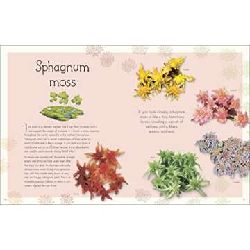 An Anthology of Aquatic Life (DK Children's Anthologies)