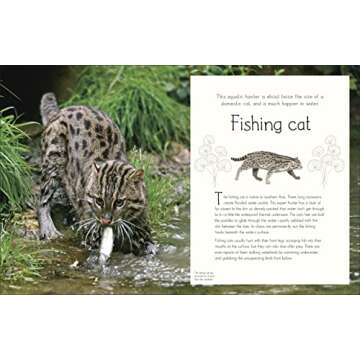 An Anthology of Aquatic Life (DK Children's Anthologies)