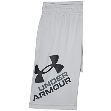 Under Armour Boys Prototype 2.0 Logo Shorts for Youth