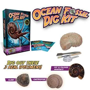 Discover with Dr. Cool Ocean Fossil Digging Science Kit