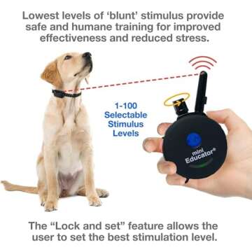 Mini Educator E-Collar ET-300 / ET-302 Dog Training Collar System with Remote - 1/2 Mile Range - Waterproof, Vibration, Sensation - Includes eOutletDeals Pet Towel (1 Dog System - ET-300 Black)