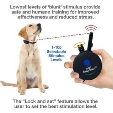 Mini Educator E-Collar ET-300 / ET-302 Dog Training Collar System with Remote - 1/2 Mile Range - Waterproof, Vibration, Sensation - Includes eOutletDeals Pet Towel (1 Dog System - ET-300 Black)