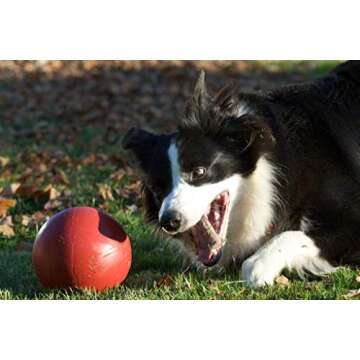 Jolly Pets Push-n-Play Ball Dog Toy, 6 Inches/Medium, Red (306 RD)