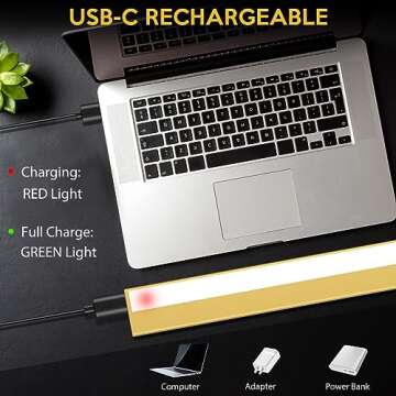 ReyeeInc Picture Light Battery Operated, 16 Inch Picture Light and Cordless Wall Art Lighting with Remote for Above Painting, Picture Frame, Gallery, Portrait Display, Canvas (Gold)