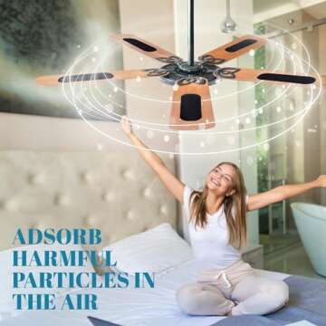 Top Coconut Shell Ceiling Fan Filters for Clean Air
