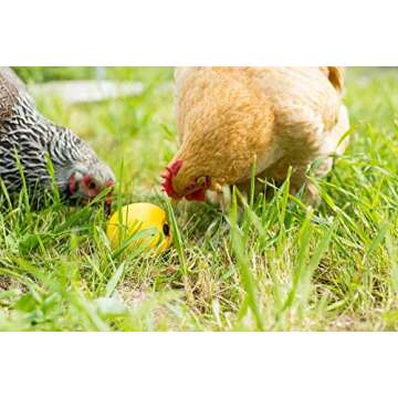 Lixit Baby Chick Feeder & Waterer Kit for Chicks