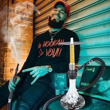 Scalable Hookah Hose Ice Shisha Hookah Pipe Detachable Mouthpiece with 2 Reusable Ice Bag for Frozen Cool Smoking (Black)