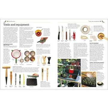 Propagating Plants: How to Create New Plants for Free