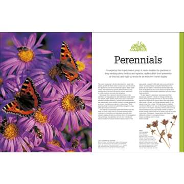 Propagating Plants: How to Create New Plants for Free