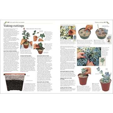 Propagating Plants: How to Create New Plants for Free