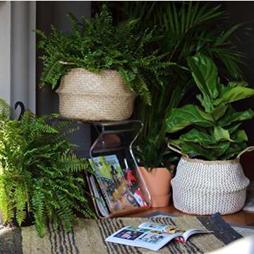Medium Woven Seagrass Belly Basket for Stylish Storage