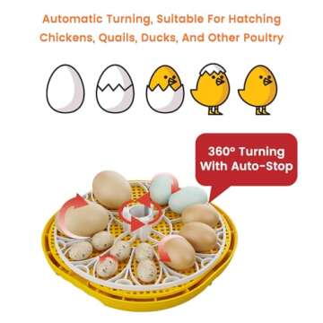 TRIOCOTTAGE 12 Clear Egg Hatching Incubator with Automatic Egg Turning and Auto Water Replenishment for Chicken Eggs and Quail Egg (3.M12-Yellow (Not Recommended), M12)