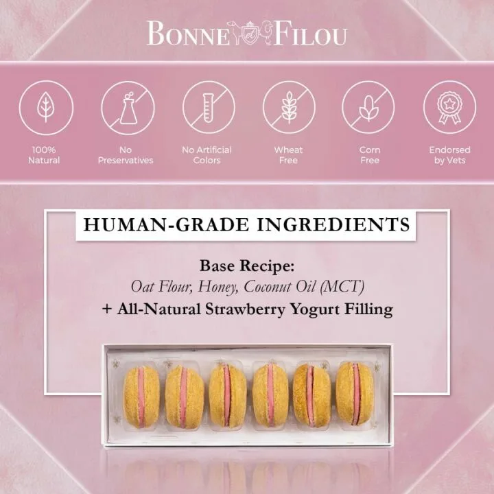 Luxury Dog Treats - Gourmet Dog Macarons, 6 Count
