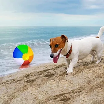 Jishi Beach Balls 12-Pack Kids Summer Fun Inflatable Toys