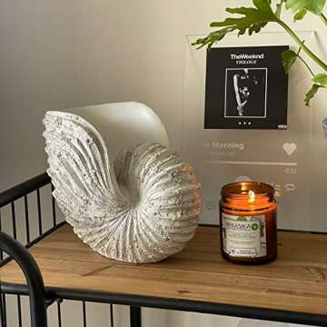 Huey House Nautilus Shell Sculpture - Replica Beach Themed Ocean Decor for Home - Rustic White Resin...