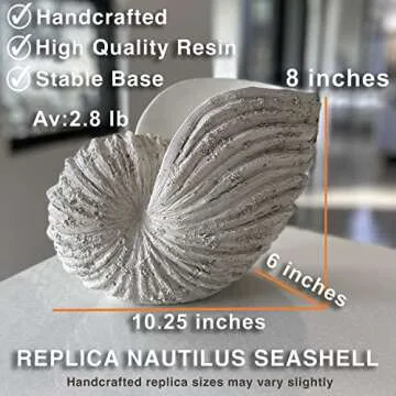 Huey House Nautilus Shell Sculpture - Coastal Decor