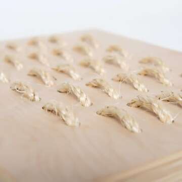 Small Pet Select - Digging Platform-Plywood