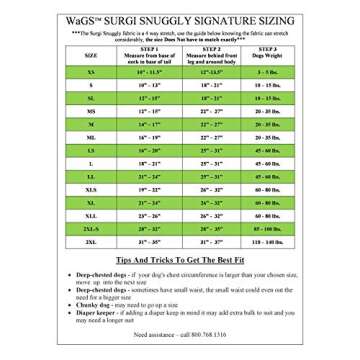 SurgiSnuggly Dog Diaper Suit for Comfort and Security