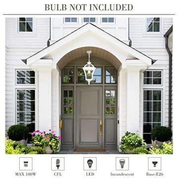 Zeyu Modern Outdoor Hanging Light with Seeded Glass Shade