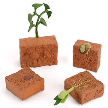 4 PCS Farm Plant Life Cycle Model Figure Set Party Favors Supplies Cake Toppers Statue Desktop Decor...