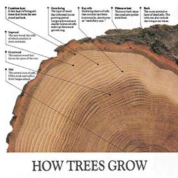 The Complete Manual of Woodworking: A Detailed Guide to Design, Techniques, and Tools for the Beginn...
