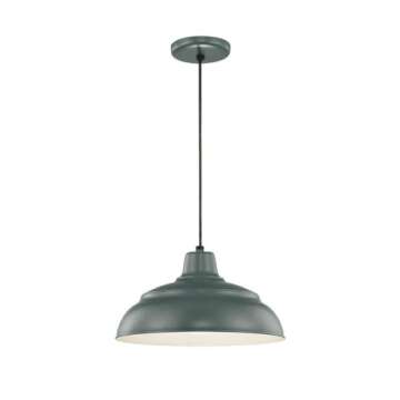 Millennium RWHC14-SG One Light Pendant, Bronze/Dark