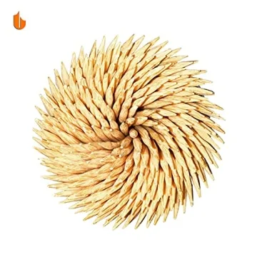 Urbanstrive Sturdy Safe Toothpick Holder with 800 Natural Wood Toothpicks for Teeth Cleaning, Unique Home Design Decoration, 2 Pack, Beige