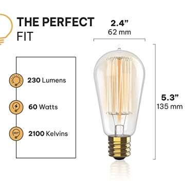 Hudson Bulb Co. Vintage Incandescent Edison Light Bulbs - 60W, E26/E27, 2100K Warm White - 6 Pack