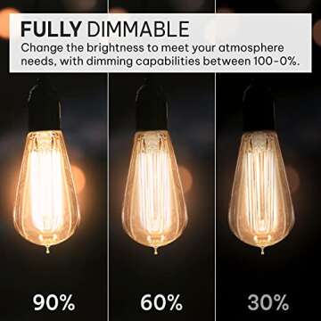 Hudson Vintage Edison Light Bulbs - Dimmable, Antique Style