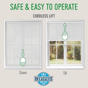 CALYX INTERIORS Pleated Fabric Window Shade Light Filtering