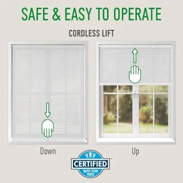 CALYX INTERIORS Pleated Fabric Window Shade Light Filtering