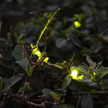 Solar Powered Firefly Lights, ZHONGXIN Flickering Fireflies String Lights with 7 Amusing Fireflies Bulbs, Brings Back Memories of Your Childhood