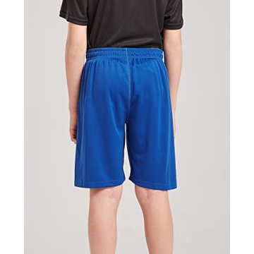 DaniChins Boys Moisture Wicking Performance Mesh Shorts