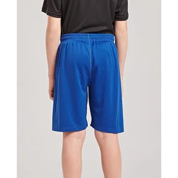 DaniChins Boys Moisture Wicking Performance Mesh Shorts