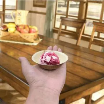 Raj Disposable Palm Leaf Bowls (25 Count, 4" Bowls) Strong Bowls Like Bamboo Party Bowls - Decorative Compostable Tableware for Lunch, Dinner, Birthday, Camping, Outdoor, Picnic, Parties