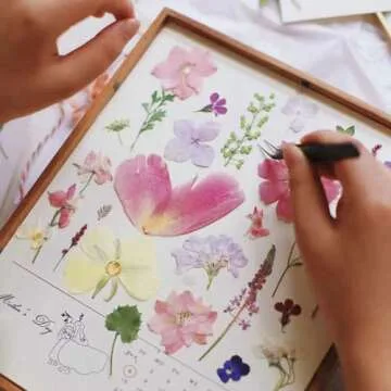 AHTONG 14 Types Pink Dried Pressed Flowers for Craft, Leaf Plant Herbarium for Resin Molds Jewelry Making Floral Decors (Peach Fuzz)