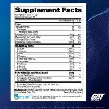 GAT SPORT Flexx EAAs + Hydration, Advanced Essential Amino Acids, 30 Servings (Dragonfruit Watermelon)