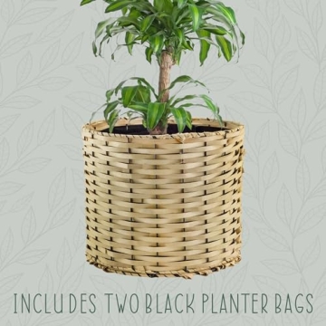 Esterno Grow Bag Basket Set with Two 6-Gallon Bags