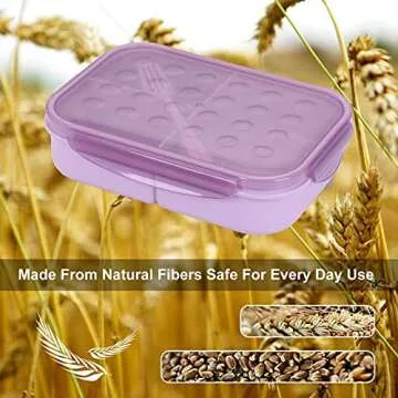 LAIDIAN Bento Box 3 Compartment Lunch Box for All