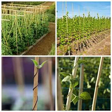 Eco-Friendly Mininfa Bamboo Stakes for Garden Support